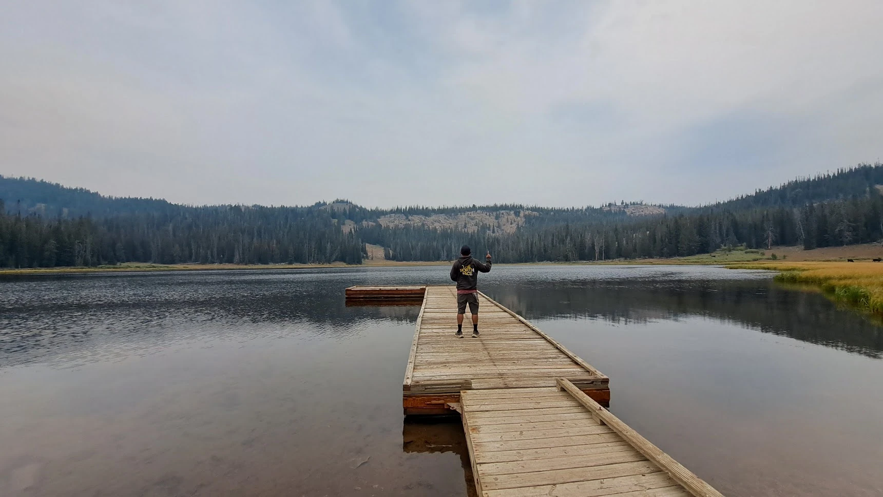 Ricardo enjoying a quiet moment on a dock beside a forest-lined lake