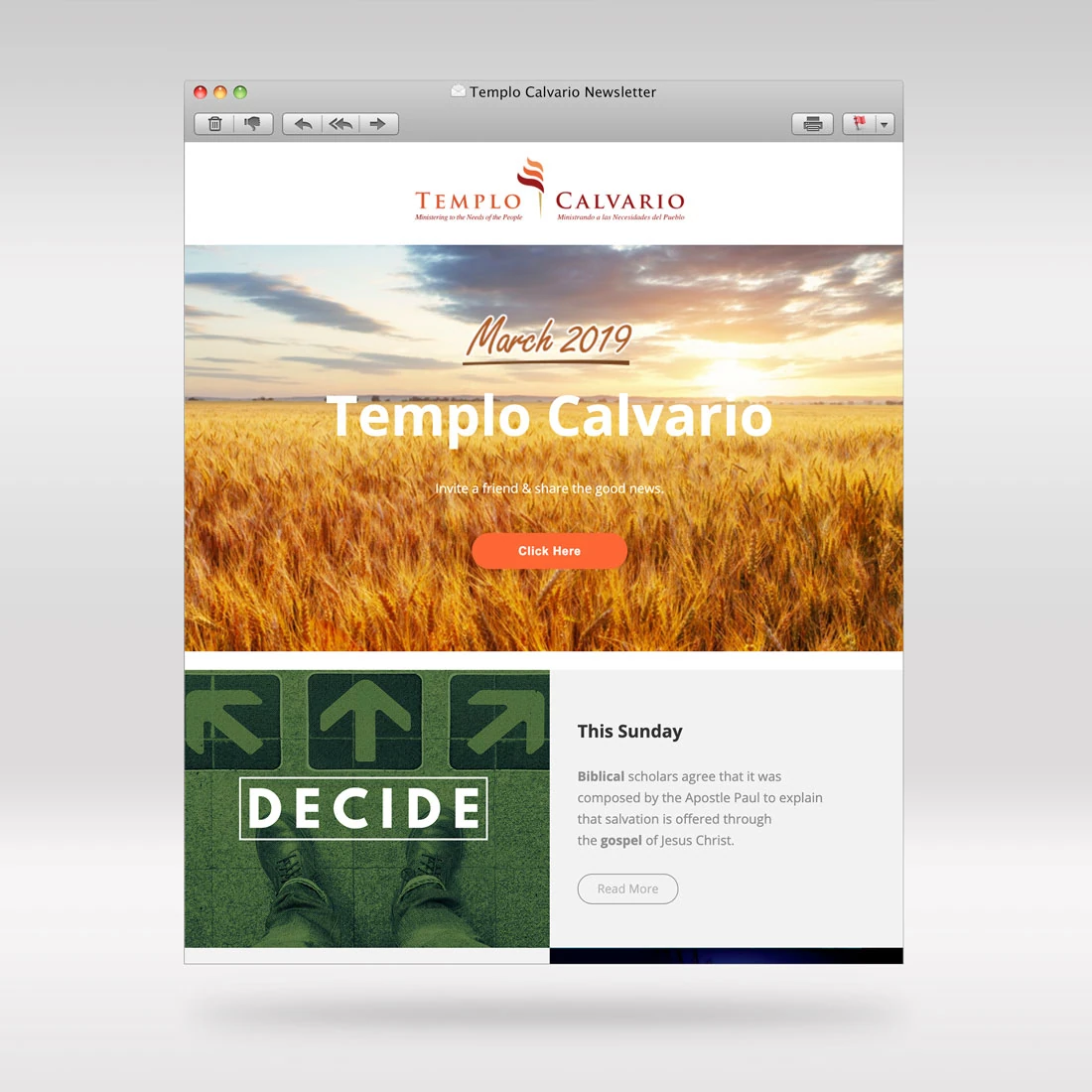Email campaign design sample